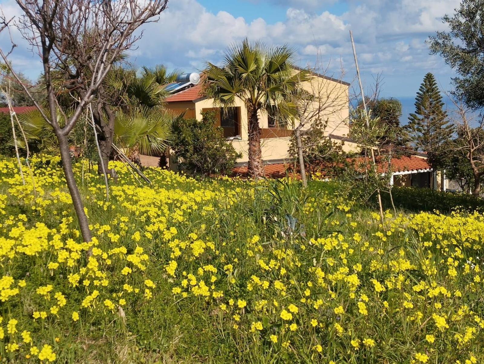 Appartement Casa Delle Palme à Cefalù Extérieur photo